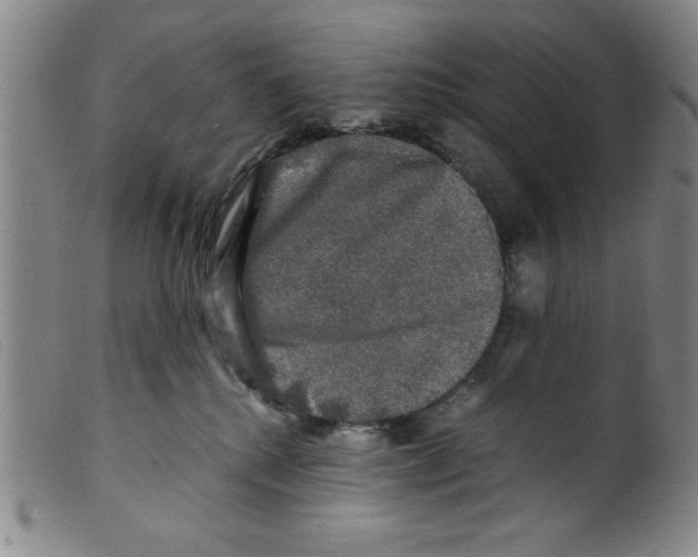 X0000098190280200805221525