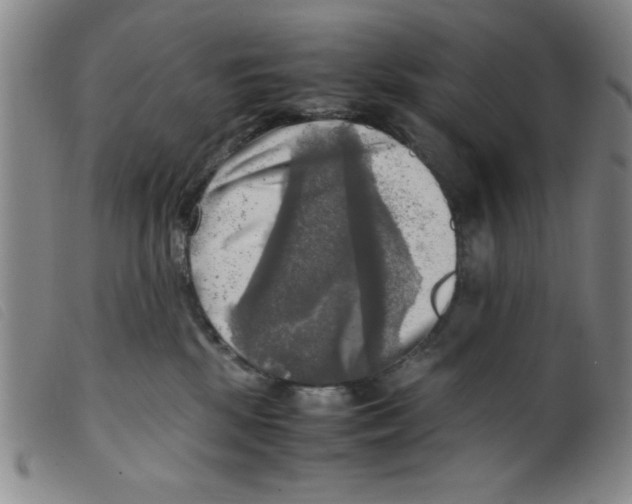 X0000098190281200805221525