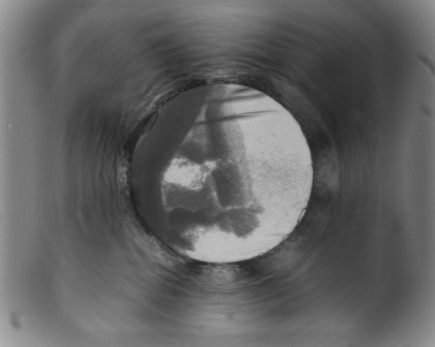 X0000098190282200805221525