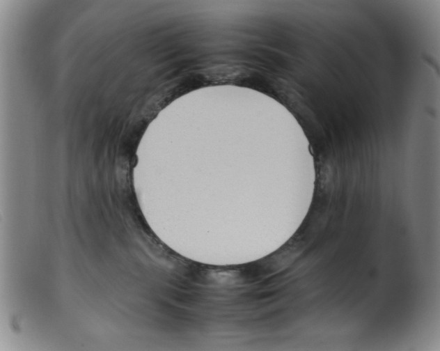 X0000098190283200805221525