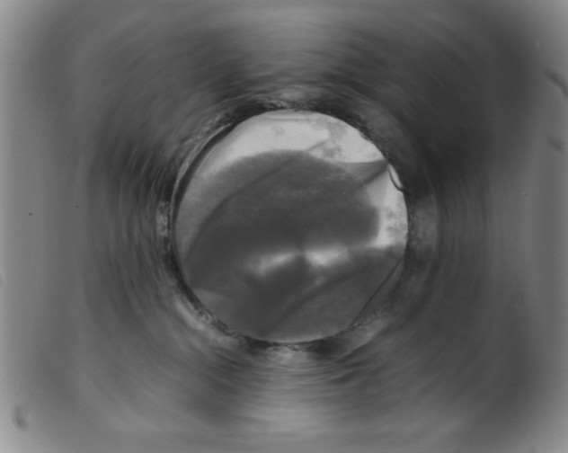 X0000098190284200805221525