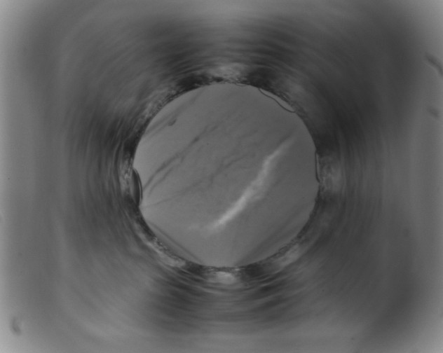 X0000098190285200805221525