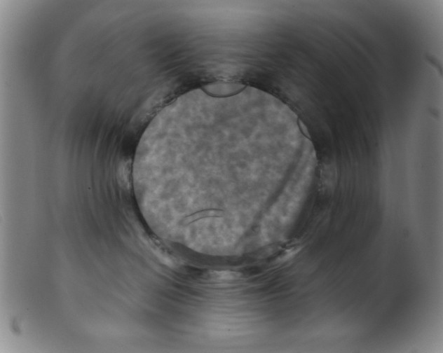 X0000098190286200805221525