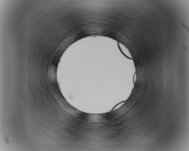 X0000098190287200805221525