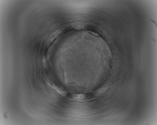 X0000098190288200805221525