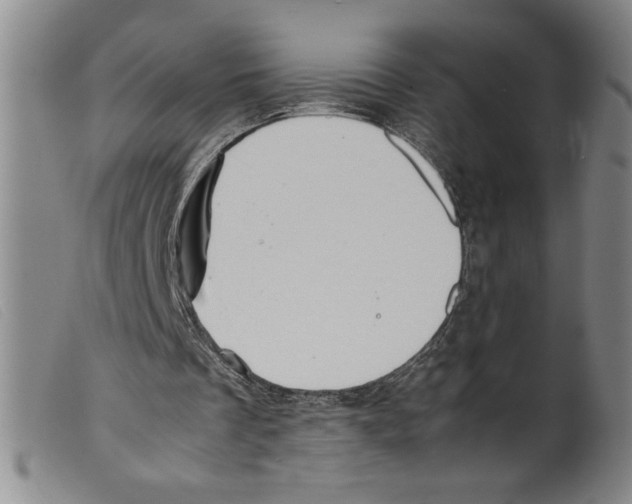 X0000098190289200805221524