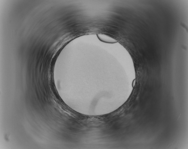 X0000098190290200805221524
