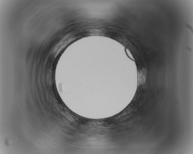 X0000098190291200805221524