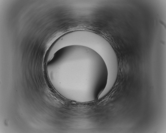 X0000098190292200805221524