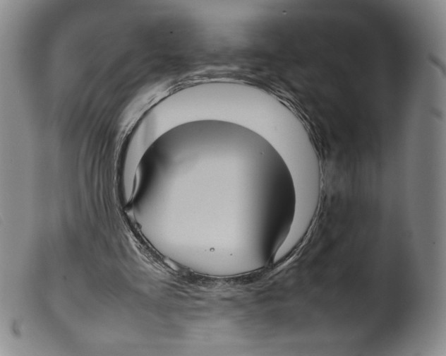 X0000098190293200805221524