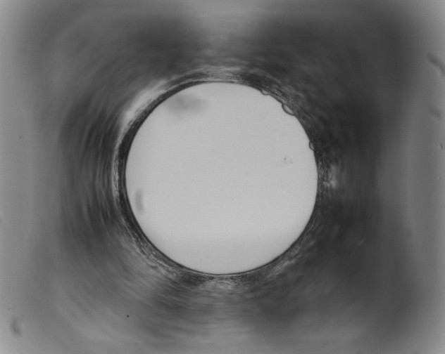 X0000098190294200805221524