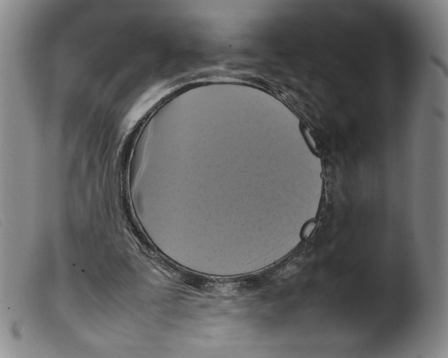 X0000098190295200805221524