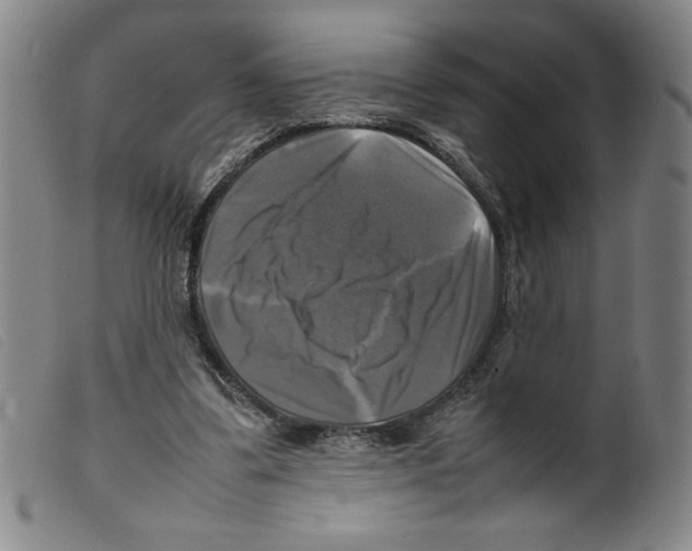 X0000098190299200805221524