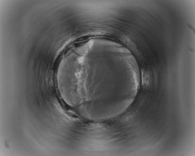 X0000098190300200805221524