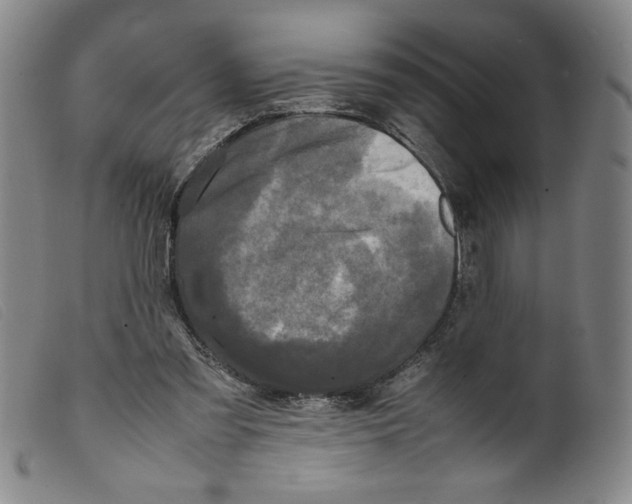 X0000098190301200805221524