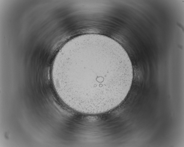 X0000098190302200805221524