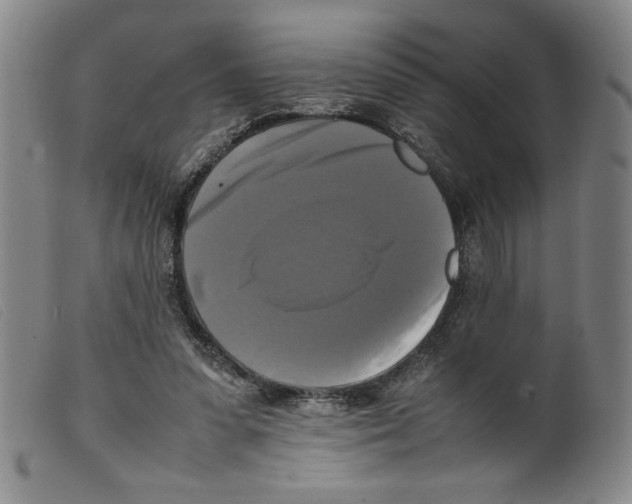 X0000098190303200805221524