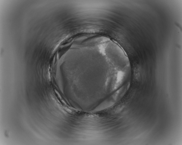 X0000098190304200805221524