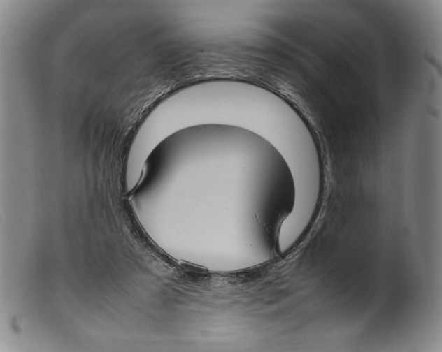 X0000098190305200805221524