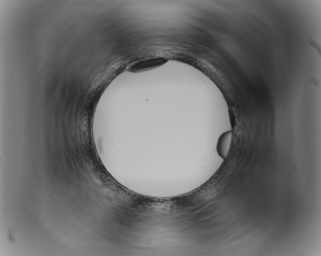 X0000098190306200805221524