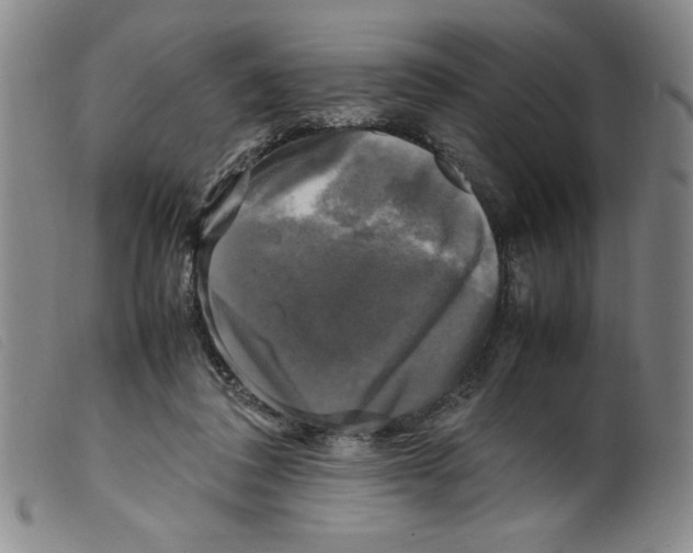 X0000098190308200805221524
