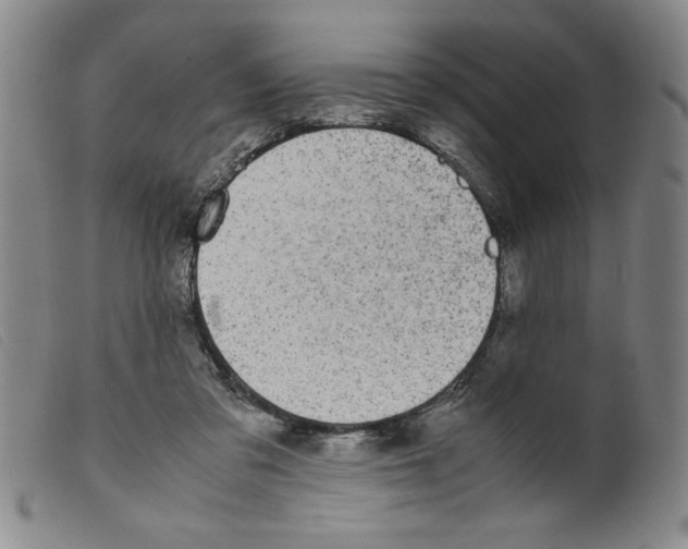 X0000098190309200805221524