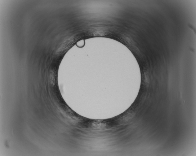 X0000098190311200805221524