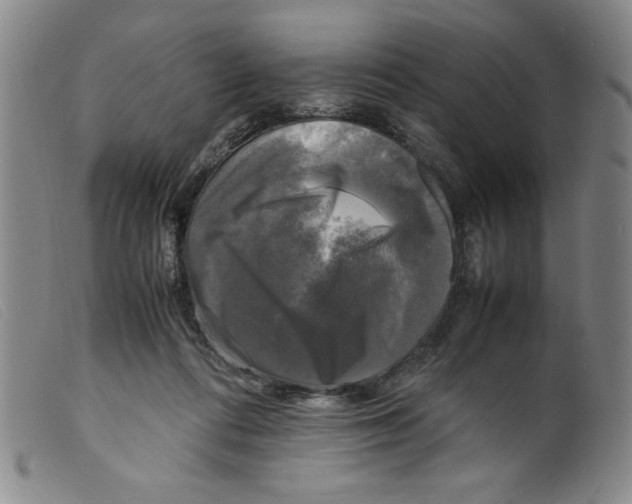 X0000098190312200805221524