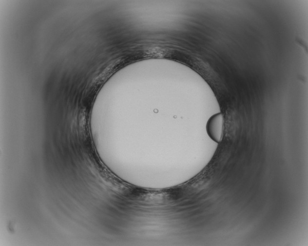 X0000098190314200805221524
