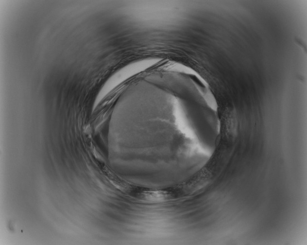 X0000098190316200805221524