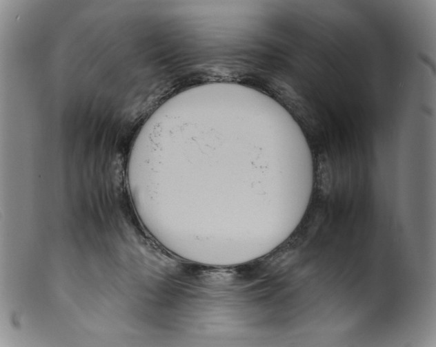 X0000098190318200805221524