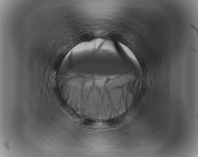 X0000098190319200805221524