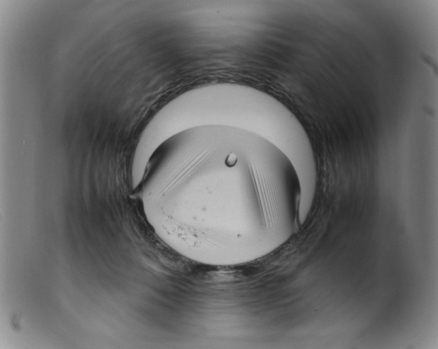 X0000098190320200805221524