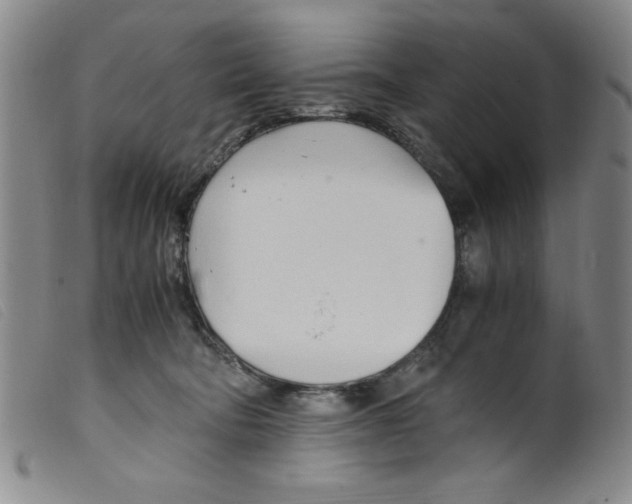 X0000098190322200805221524