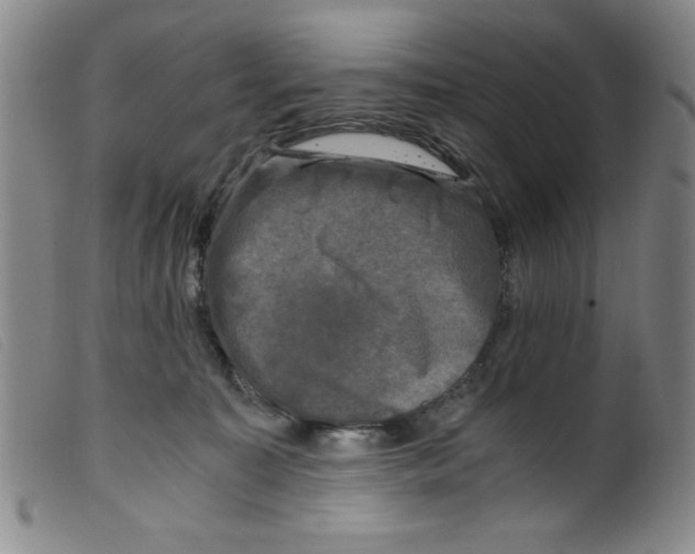 X0000098190323200805221524