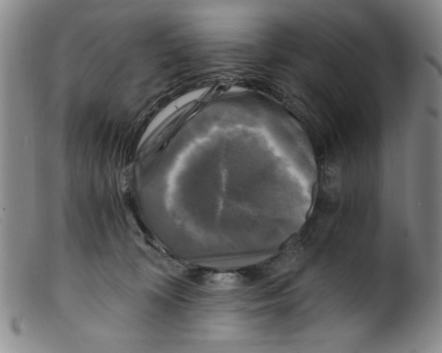 X0000098190324200805221524