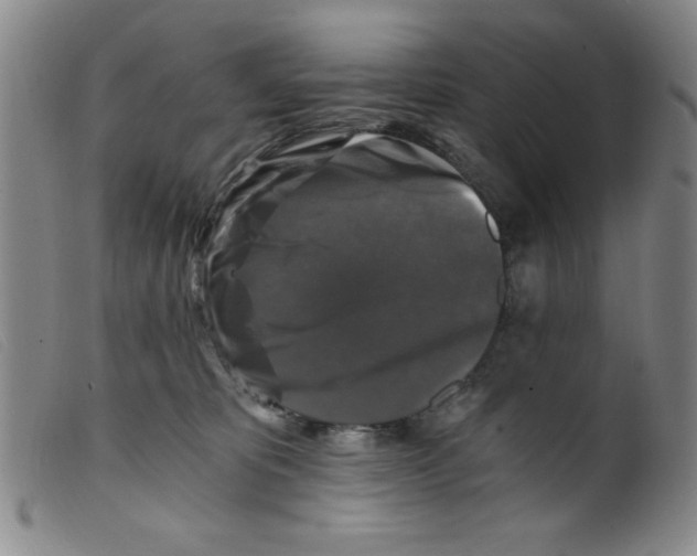 X0000098190325200805221524