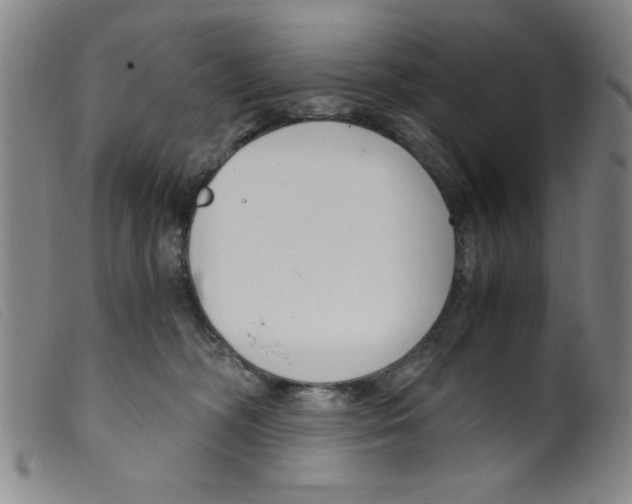 X0000098190326200805221524