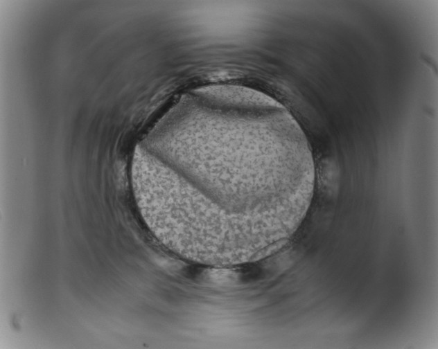 X0000098190327200805221524