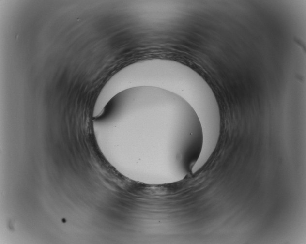 X0000098190328200805221524