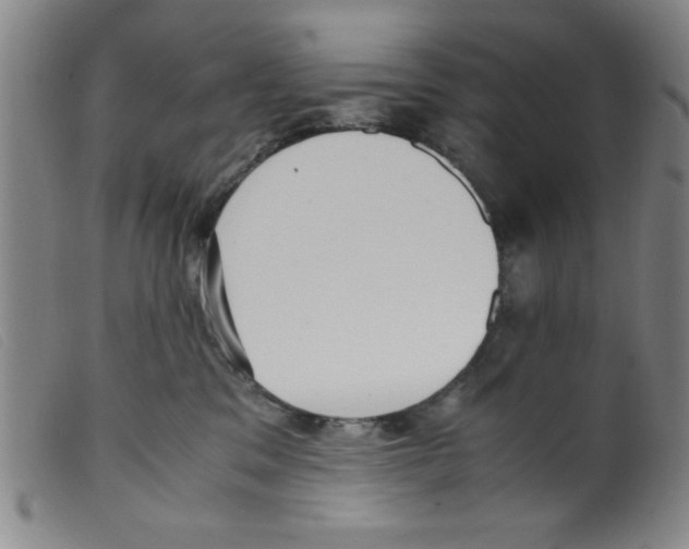 X0000098190329200805221524