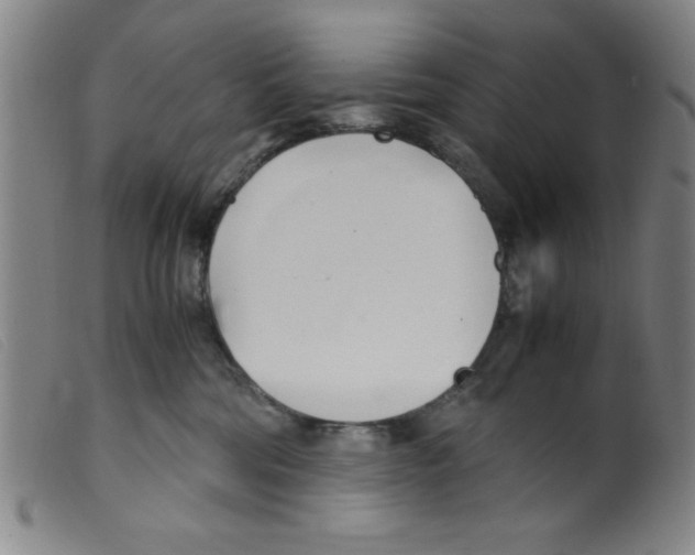 X0000098190330200805221524