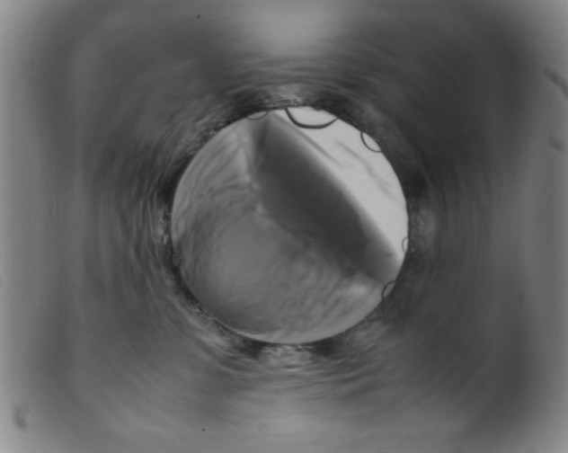 X0000098190331200805221523