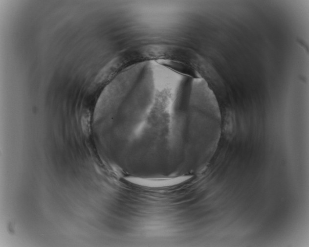 X0000098190332200805221523