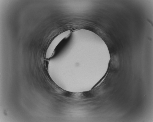 X0000098190333200805221523