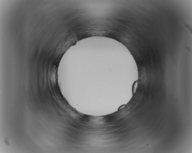 X0000098190334200805221523