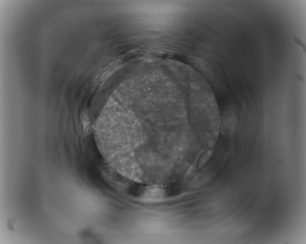 X0000098190335200805221523