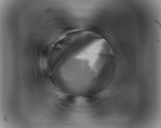 X0000098190336200805221523