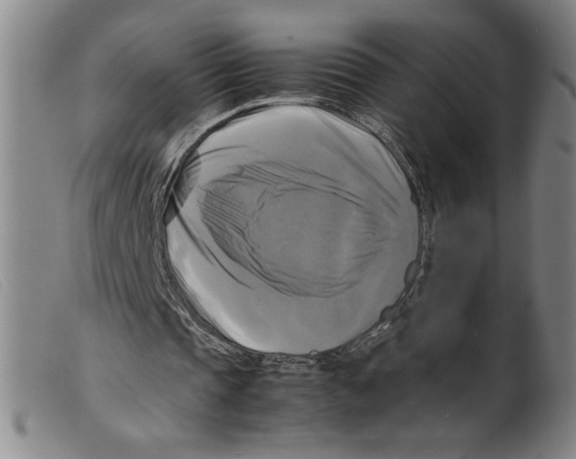 X0000098190337200805221523