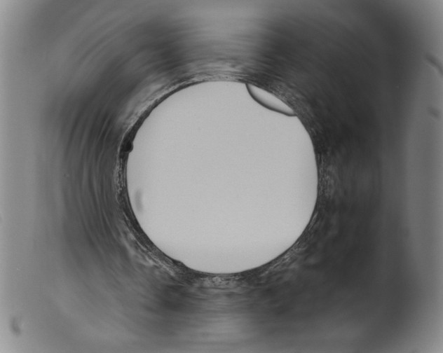 X0000098190338200805221523